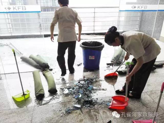 ��������y���������