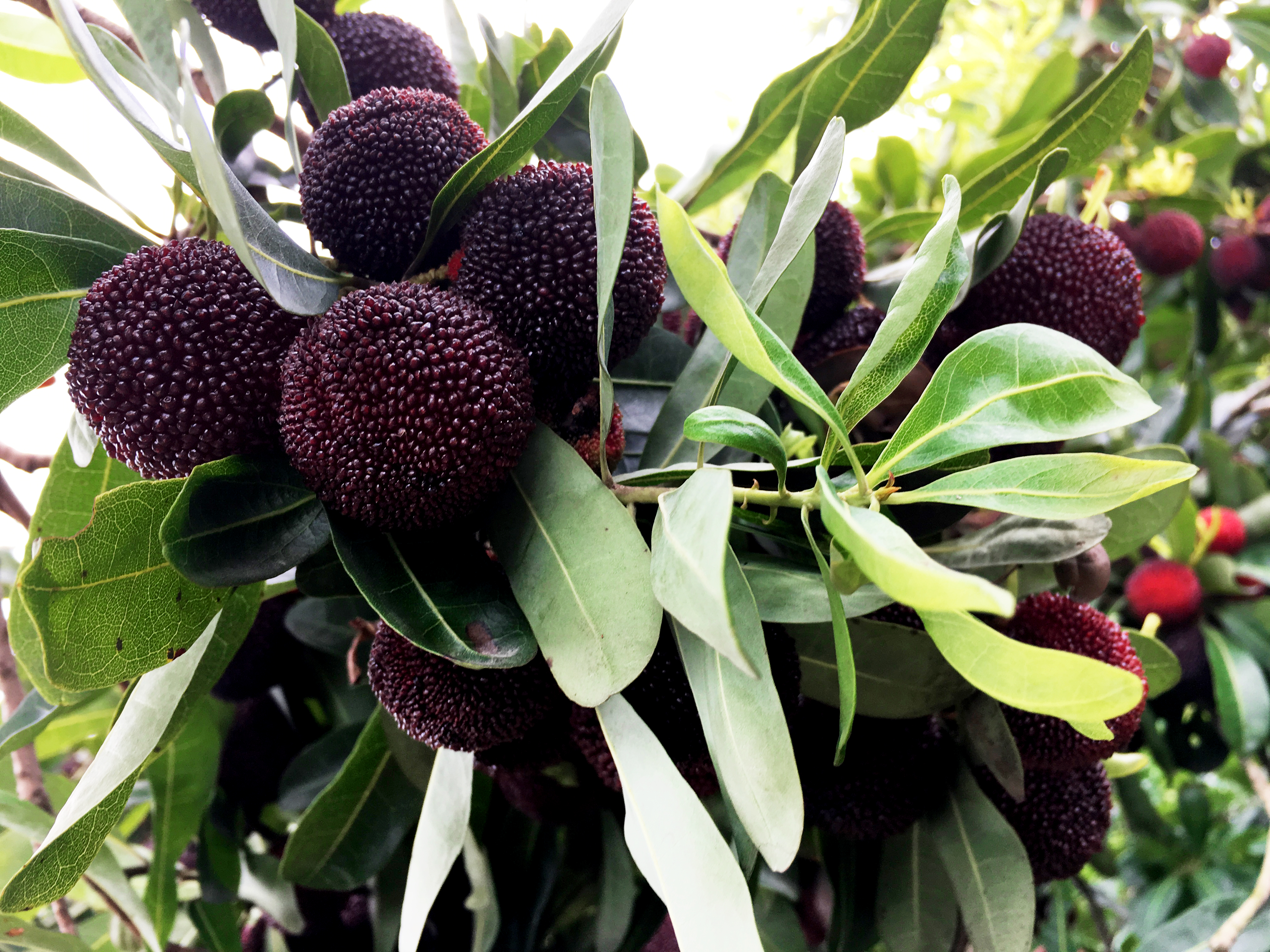 ���؄e��Ϣ���@�ε��ի@�H�S����ȸ���H�ӻ�������Y(ji��)������