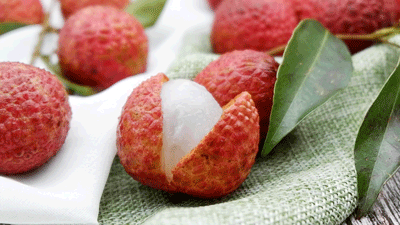 ��֦����һ���@��������ȸ����ɩ��Ӗ(x��n)���f(w��n)��